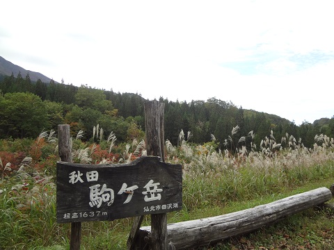 駒ヶ岳2.JPG